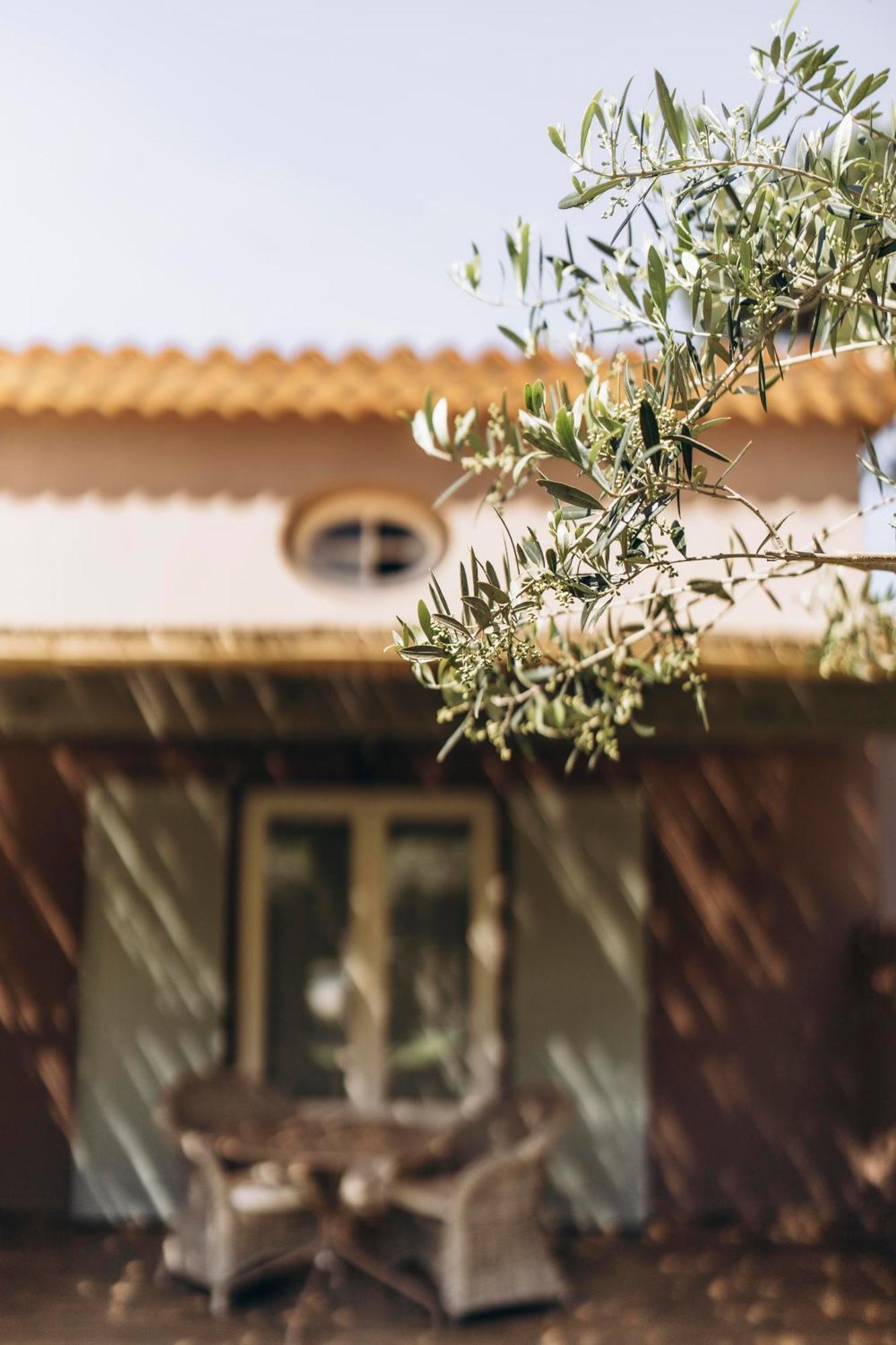 La Villa D'Andrea Ramatuelle Ngoại thất bức ảnh
